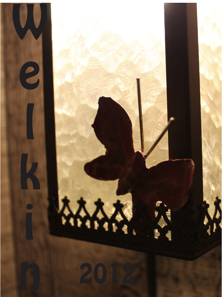 Cover of the Welkin